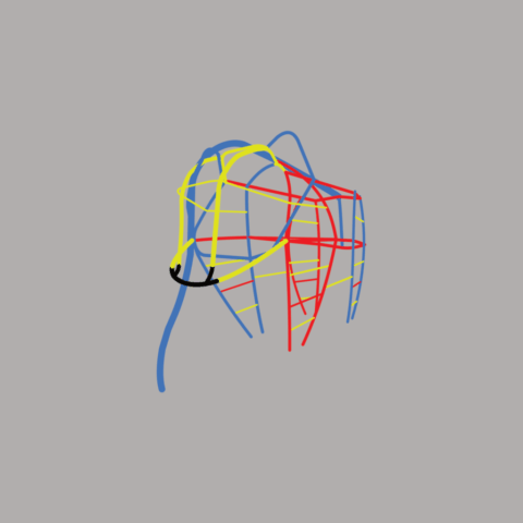 Elelfantensolo_Sorno